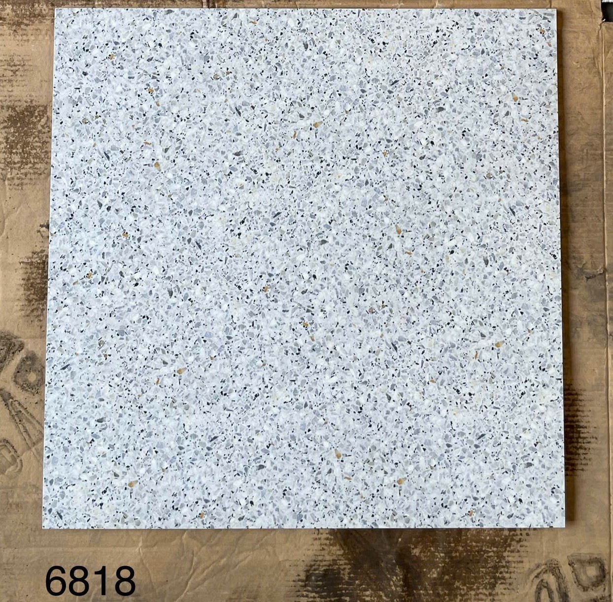 Gạch men bóng 60x60 VG6818