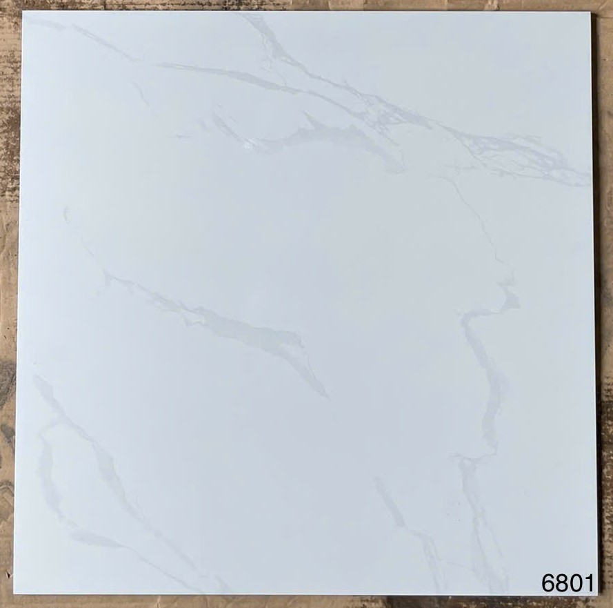 Gạch men bóng 60x60 VG6801