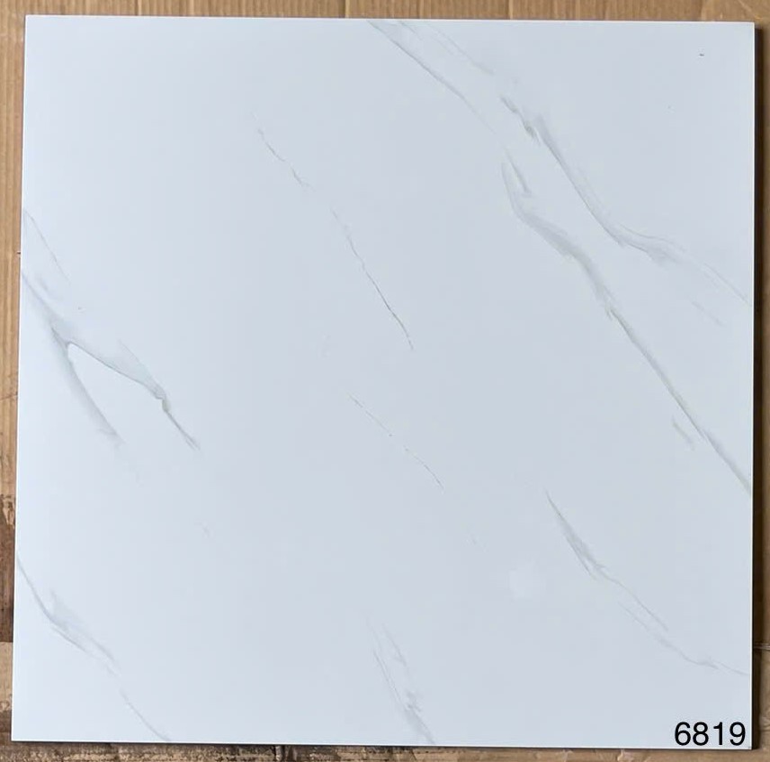 Gạch men bóng 60x60 VG6819