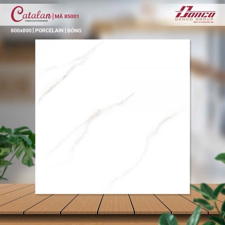Gạch đá bán sứ bóng 80x80 85001