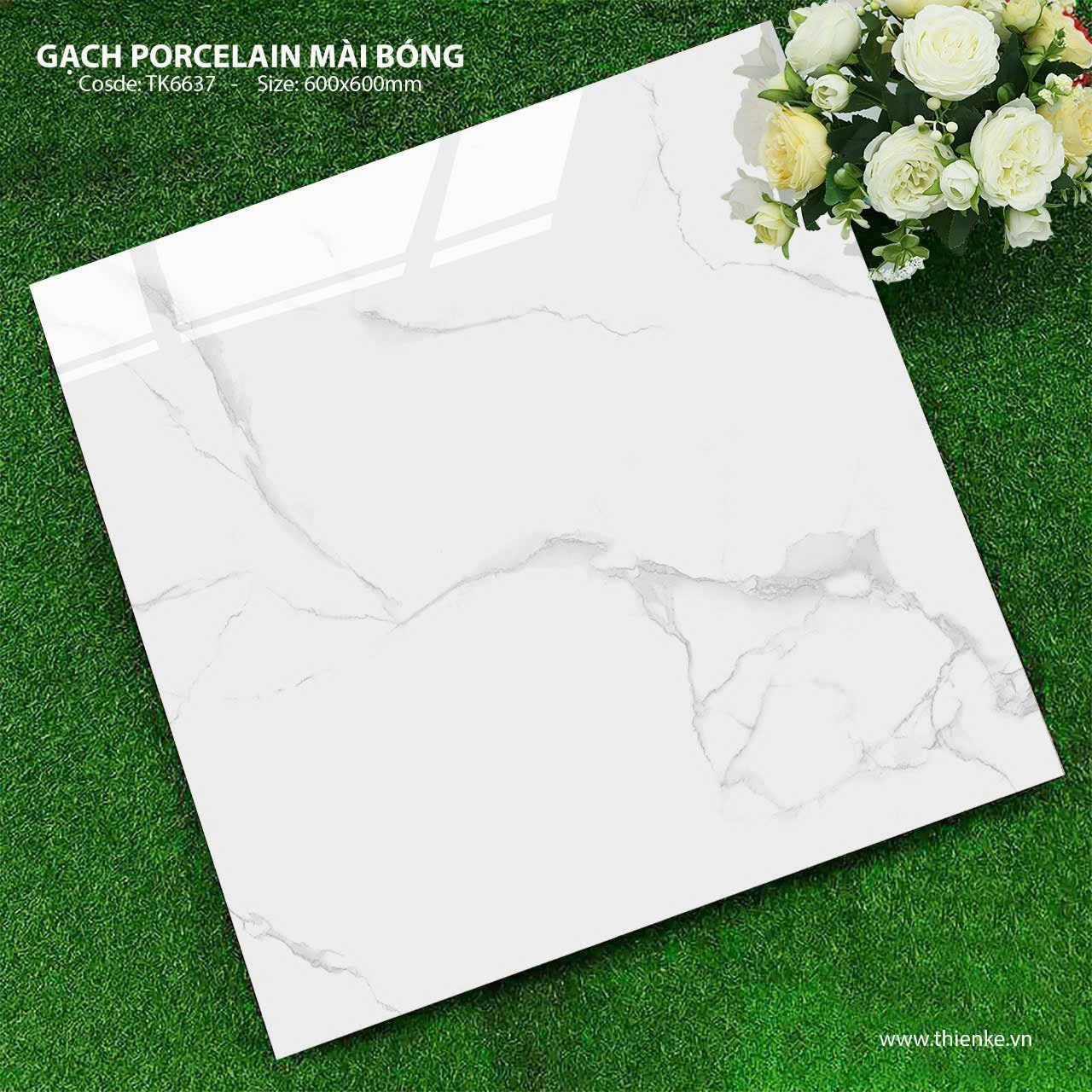 Gạch đá bán sứ bóng 60x60 TK6637