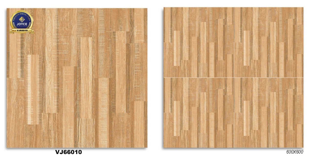 Gạch đá bán sứ bóng 60x60 VJ66010