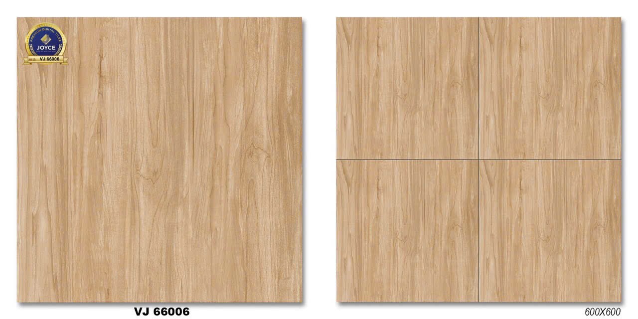 Gạch đá bán sứ bóng 60x60 VJ66006