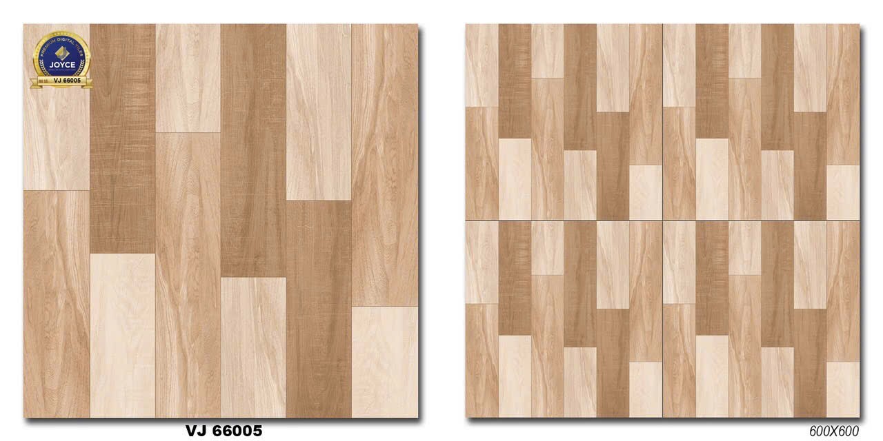 Gạch đá bán sứ bóng 60x60 VJ66005