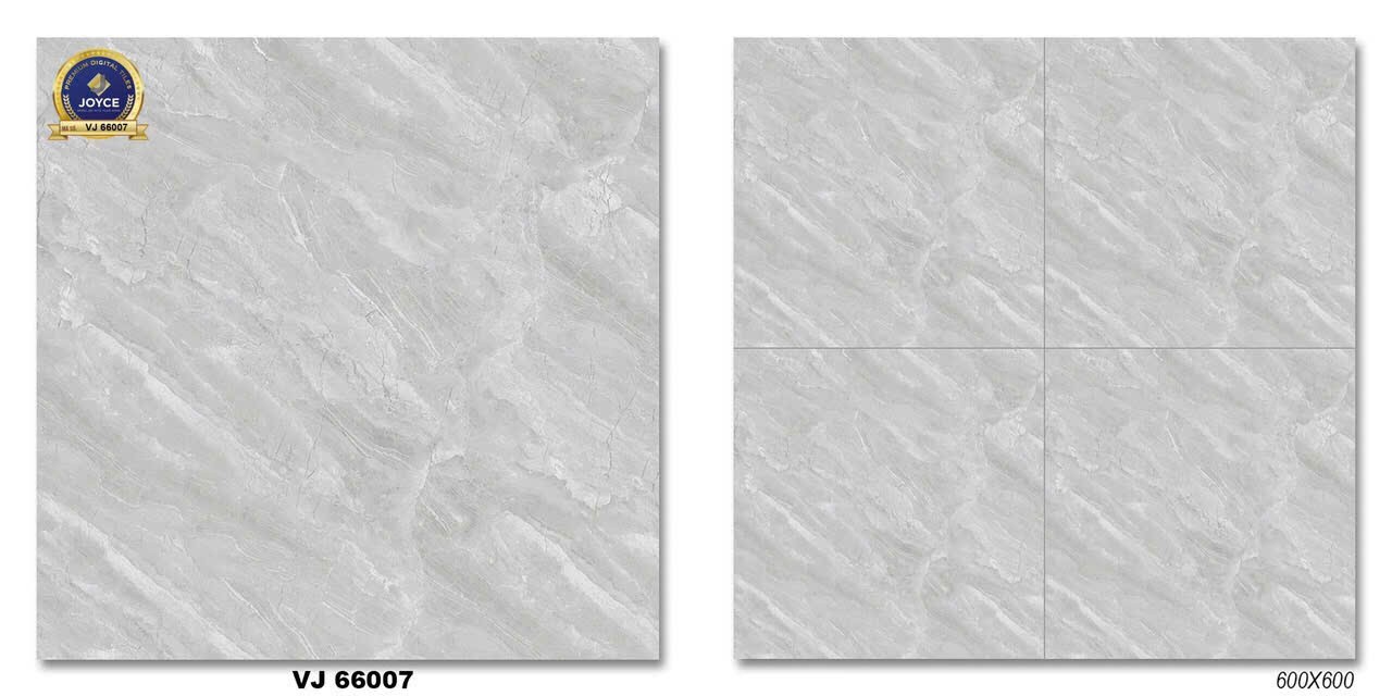 Gạch đá bán sứ bóng 60x60 VJ66007