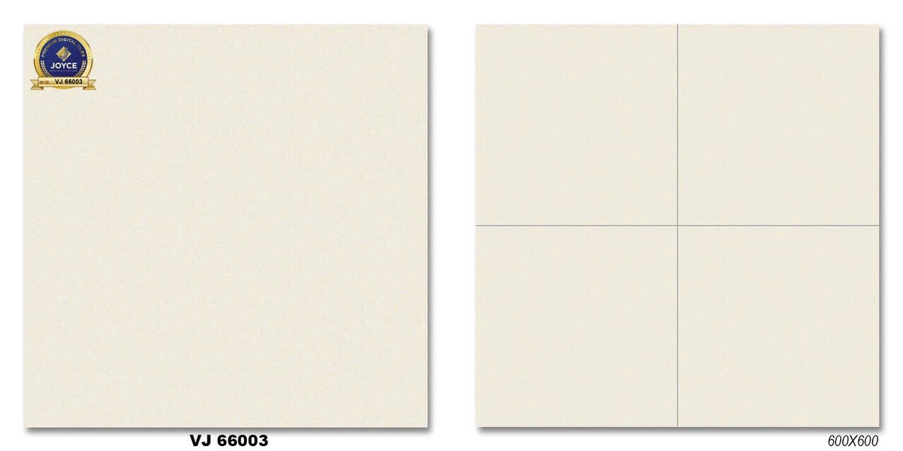 Gạch đá bán sứ bóng 60x60 VJ66003