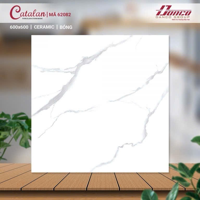 Gạch men bóng 60x60 62082