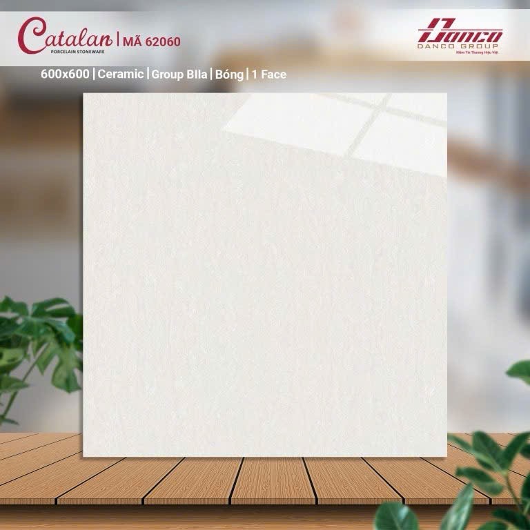 Gạch men bóng 60x60 62060