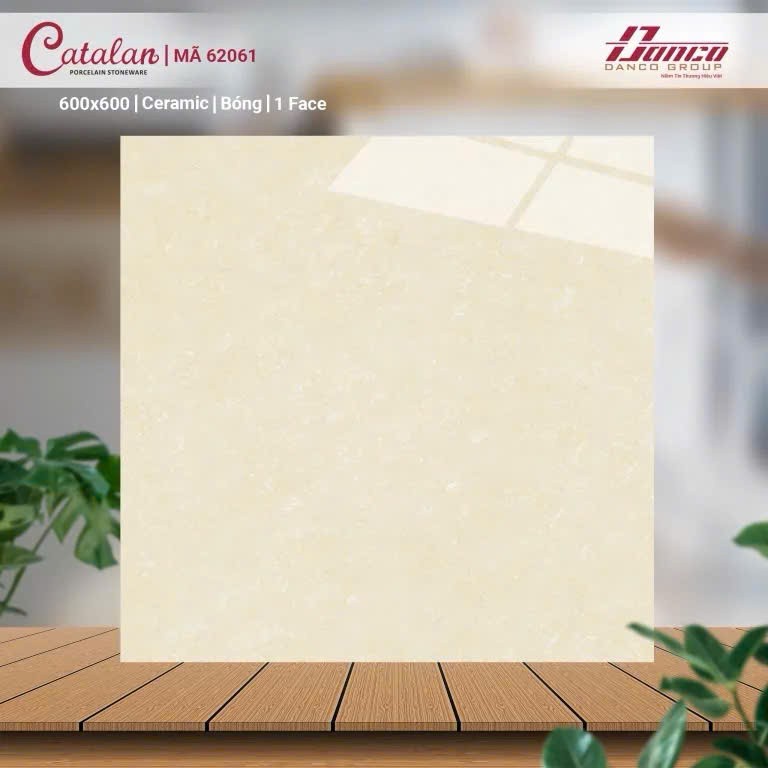 Gạch men bóng 60x60 62061