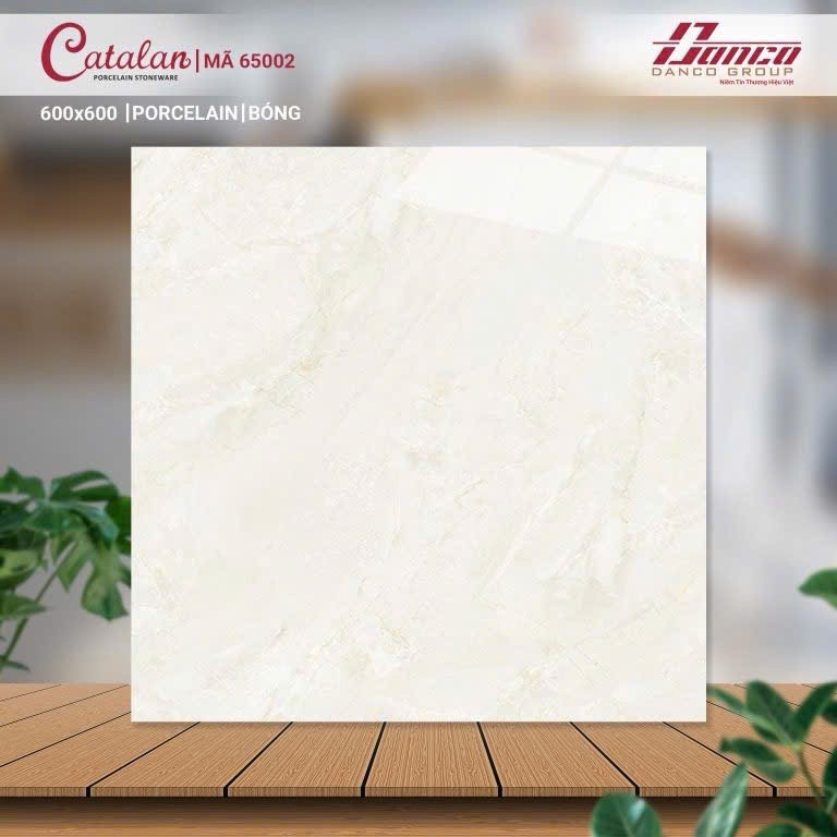 Gạch đá bán sứ bóng 60x60 65002