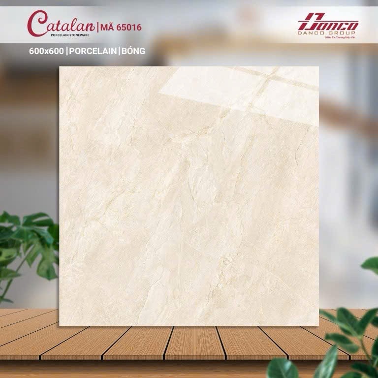 Gạch đá bán sứ bóng 60x60 65016