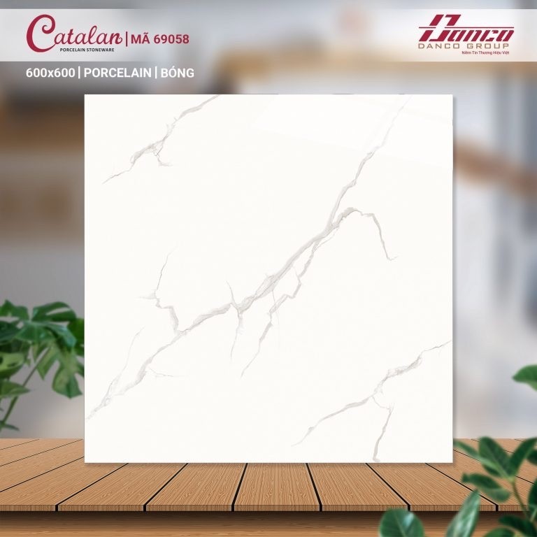 Gạch đá bán sứ bóng 60x60 69058