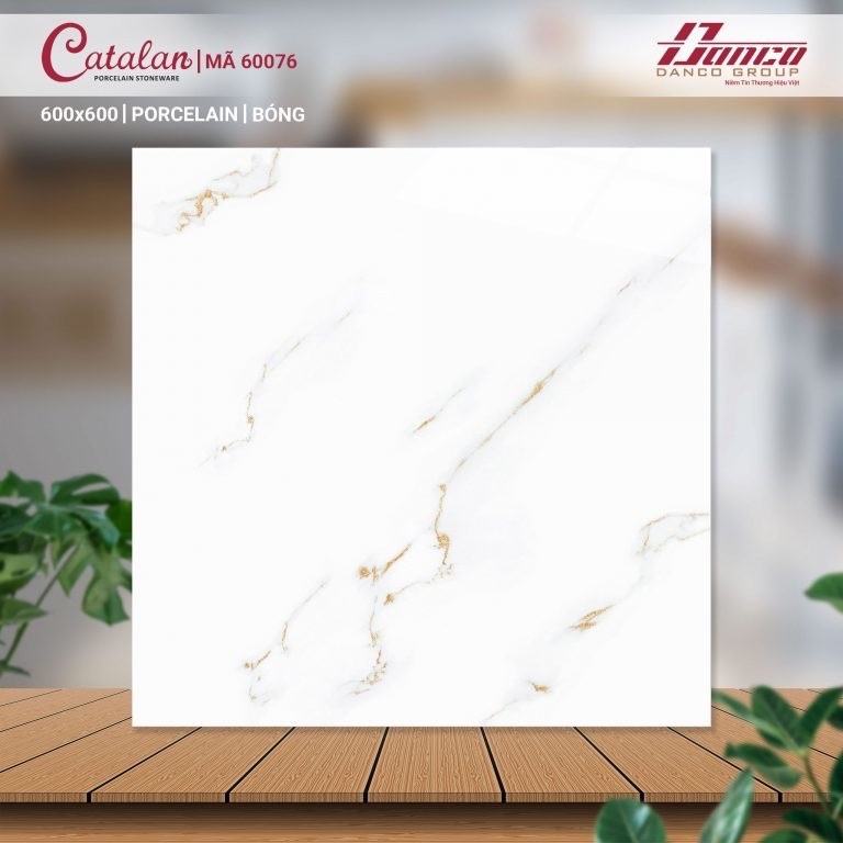 Gạch đá bán sứ bóng 60x60 60076