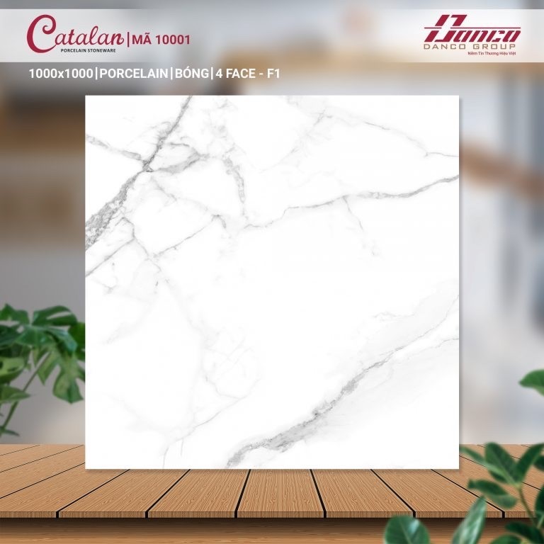 Gạch đá bán sứ bóng 100x100 10001