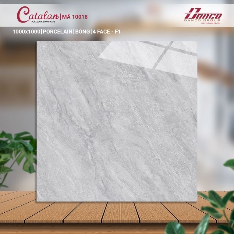 Gạch đá bán sứ bóng 100x100 10018