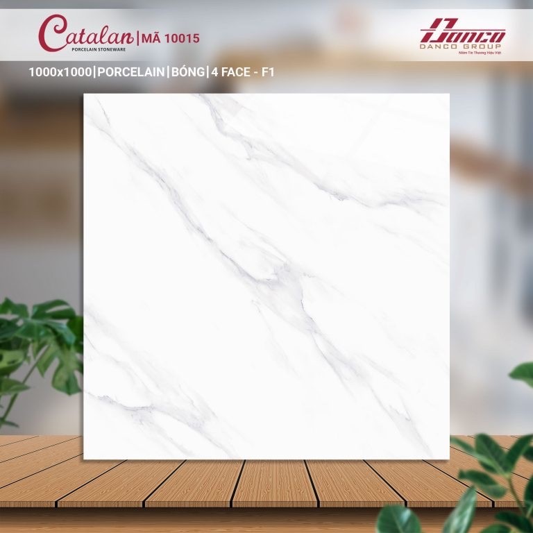 Gạch đá bán sứ bóng 100x100 10015