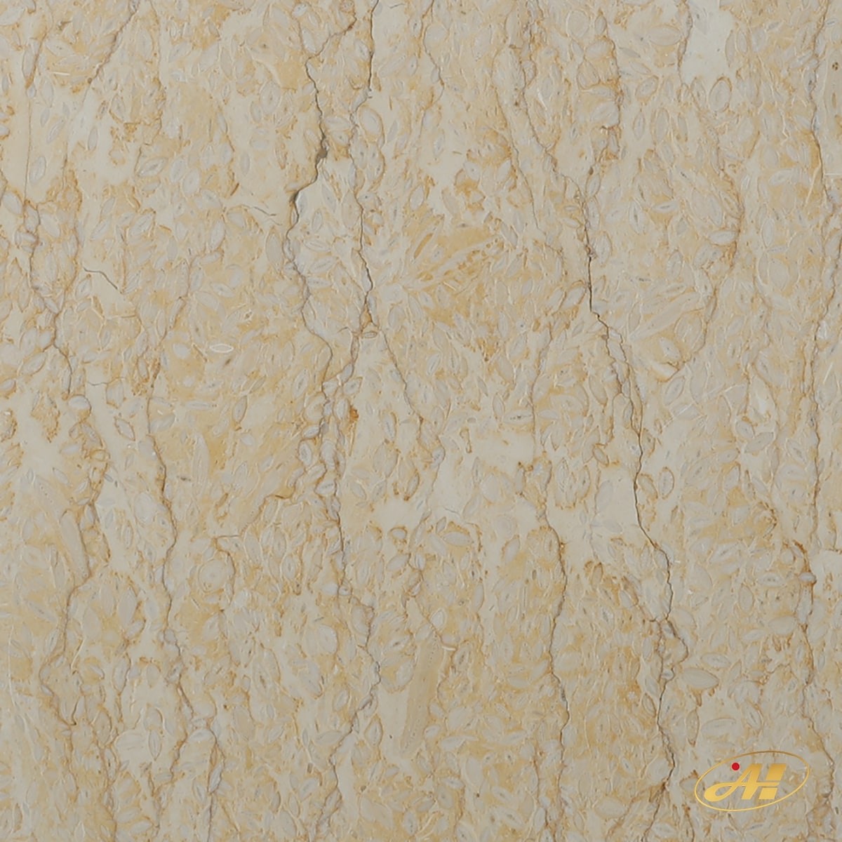 Đá Marble Vàng Rễ Cây