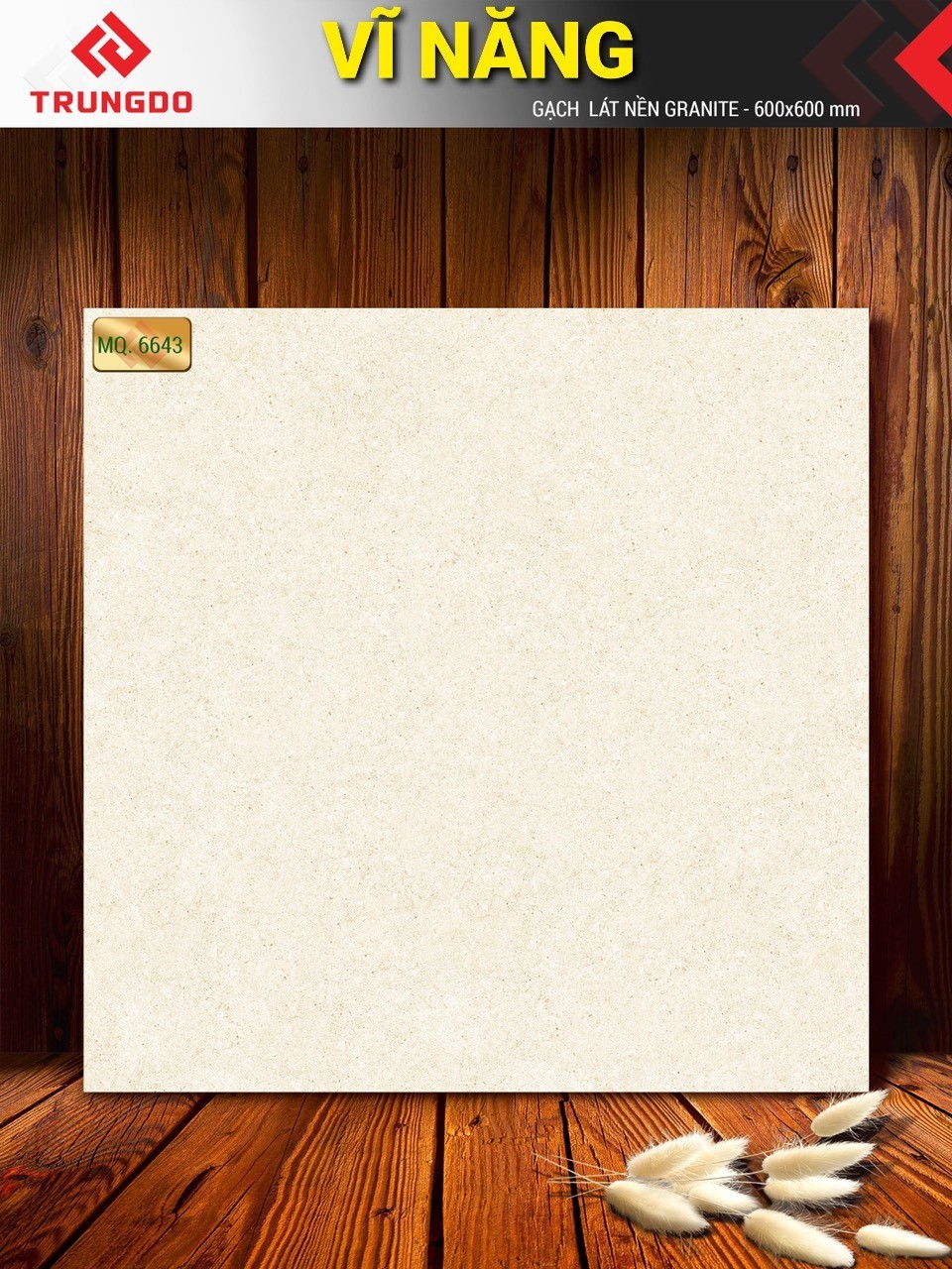 Gạch đá phủ men mờ 60x60 VN MQ6643