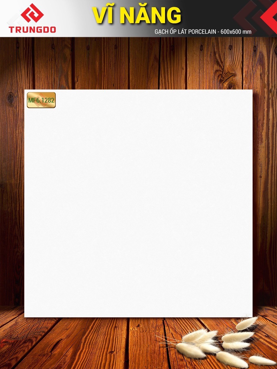 Gạch đá phủ men mờ 60x60 VN MF6.1282