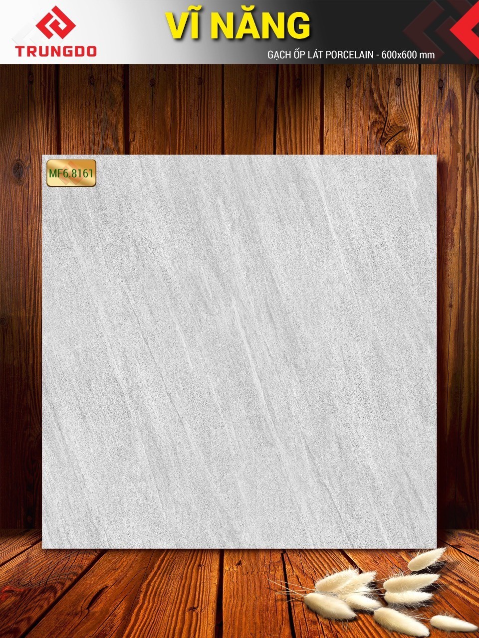 Gạch đá phủ men mờ 60x60 VN MF6.8161