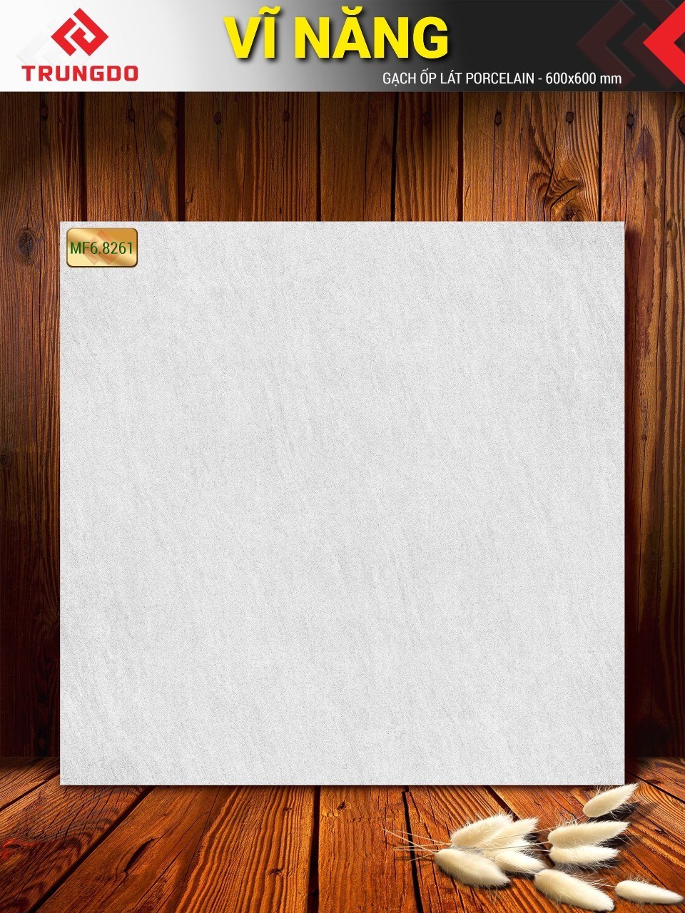 Gạch đá phủ men mờ 60x60 VN MF6.8261