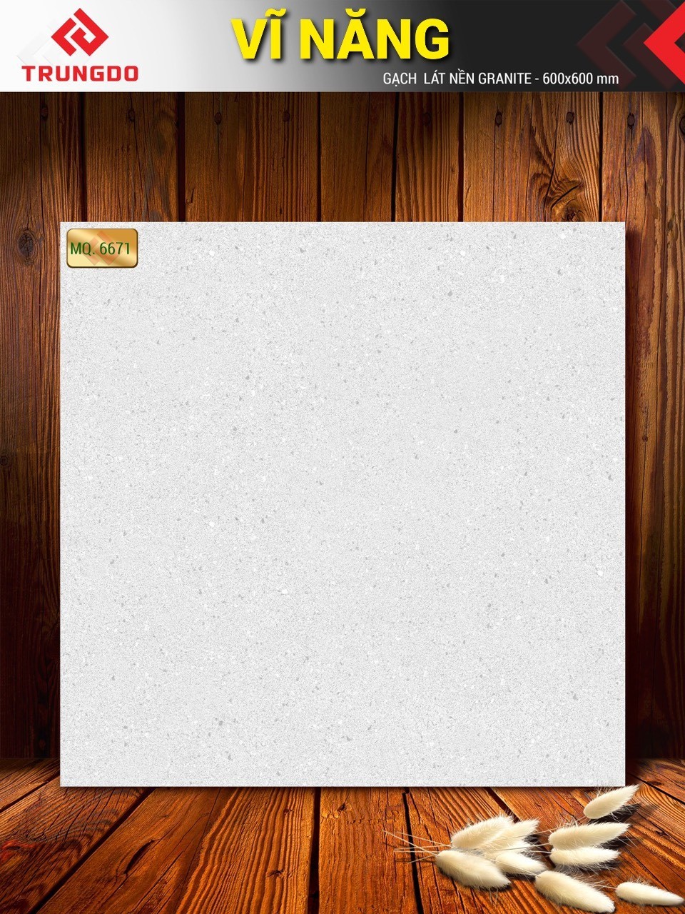 Gạch đá phủ men mờ 60x60 VN MQ6671