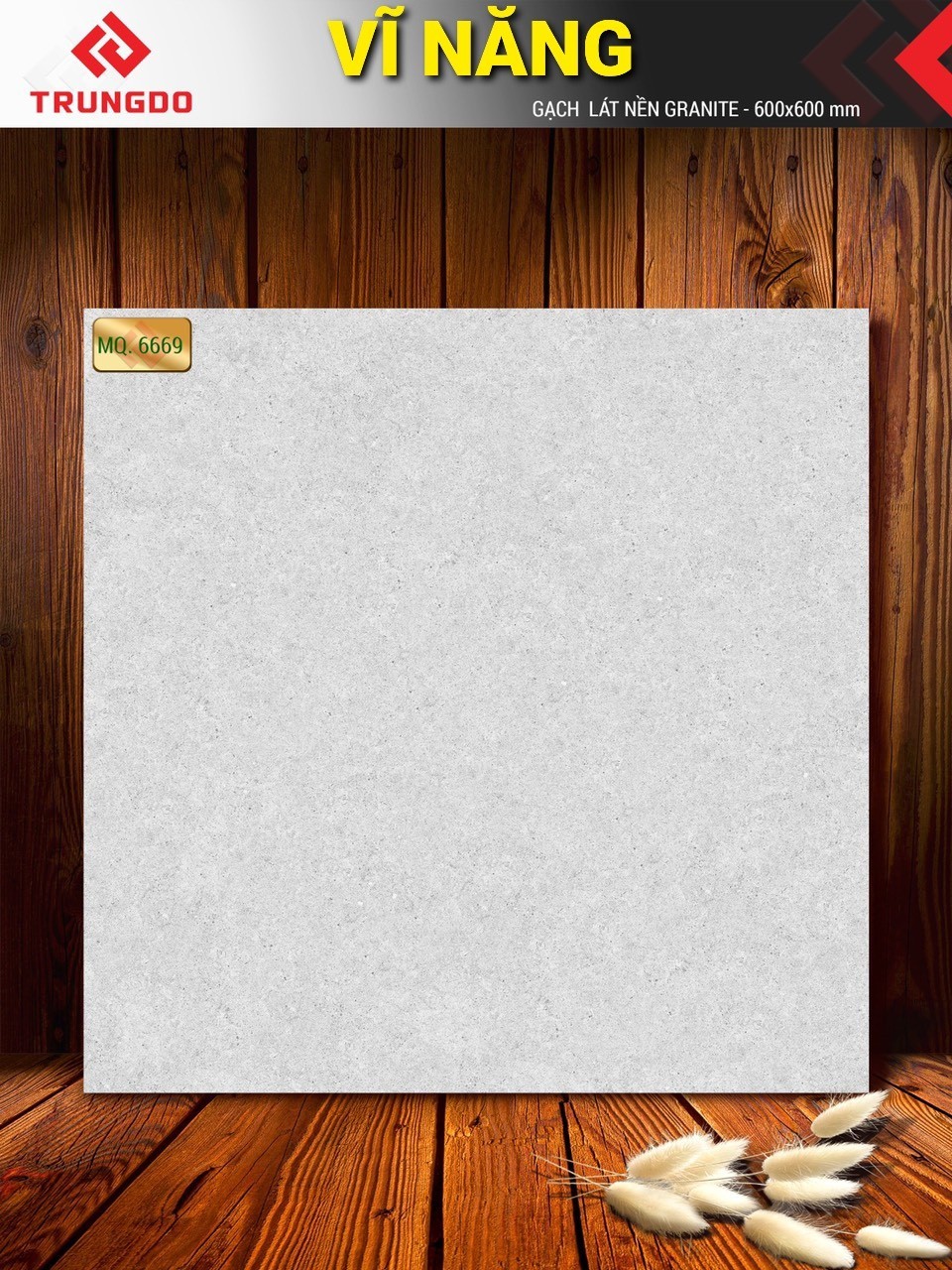 Gạch đá phủ men mờ 60x60 VN MQ6669