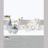 Gạch men bóng 30x60 UNM 5794-5796-Đ5795