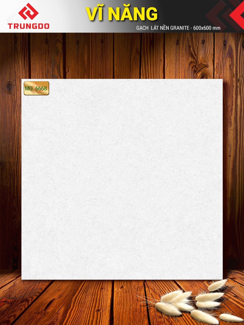 Gạch đá phủ men mờ 60x60 VN MQ6668