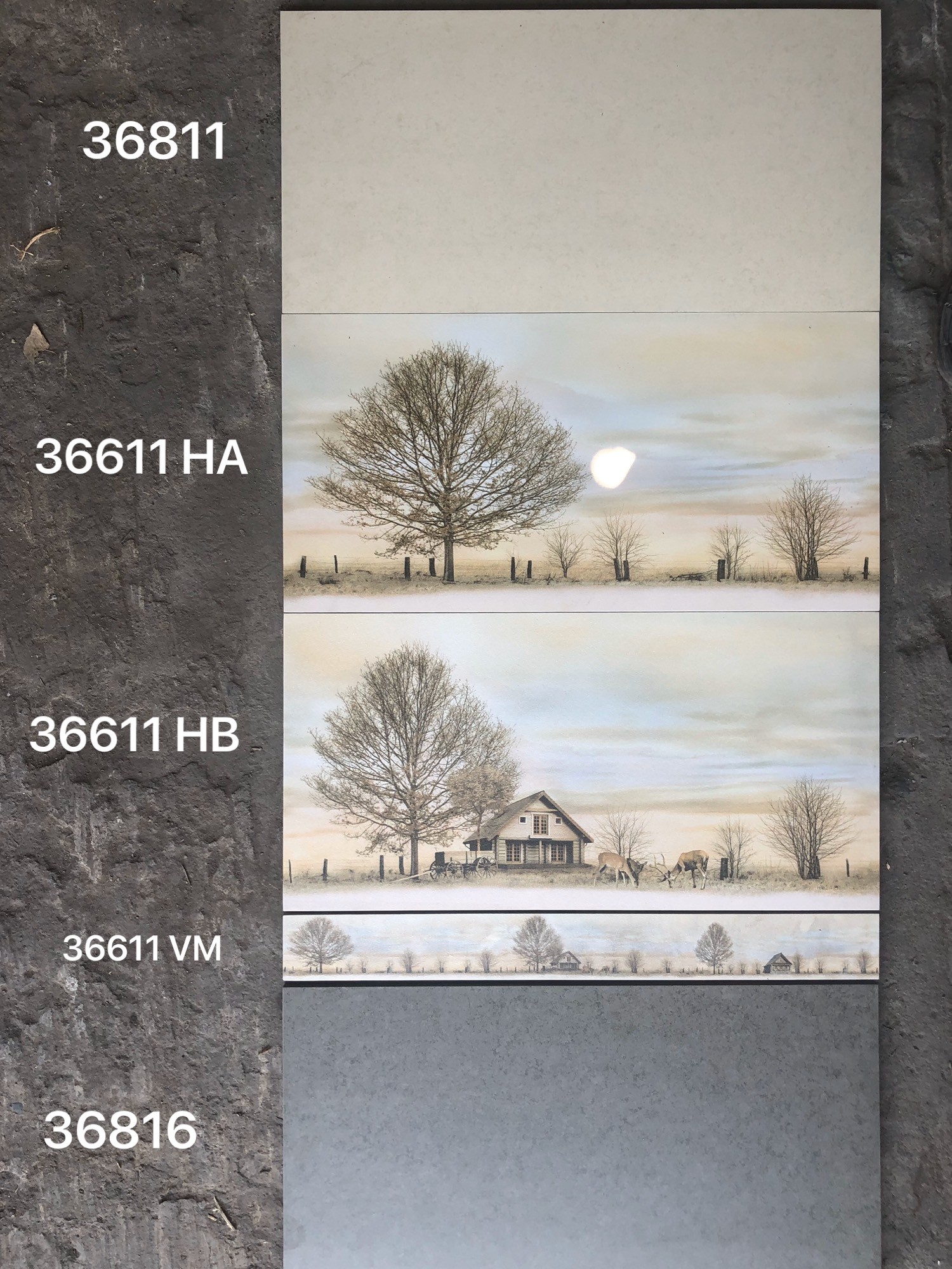 Gạch đá mờ 30x60 VNG 36811-36816-V36611VM-Đ36611HA-HB