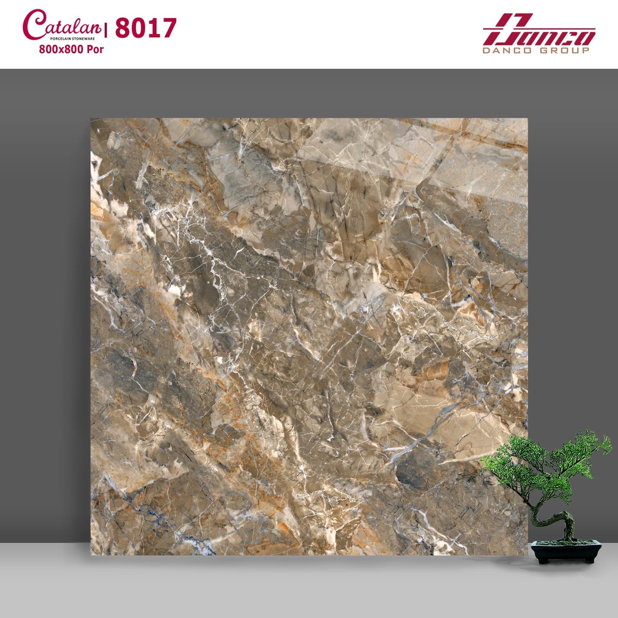 Gạch đá bóng 80x80 CTL 8017