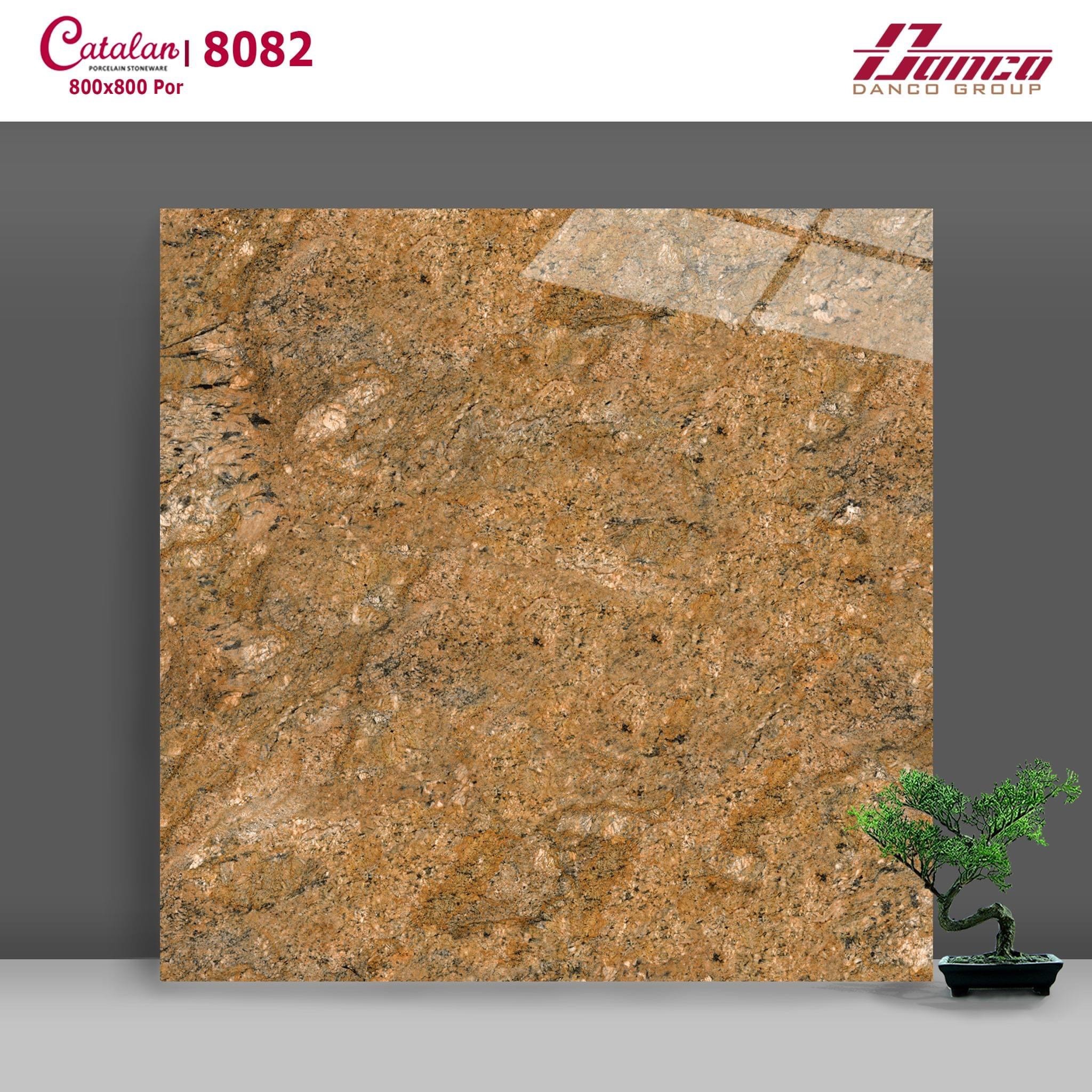 Gạch đá bóng 80x80 CTL 8082