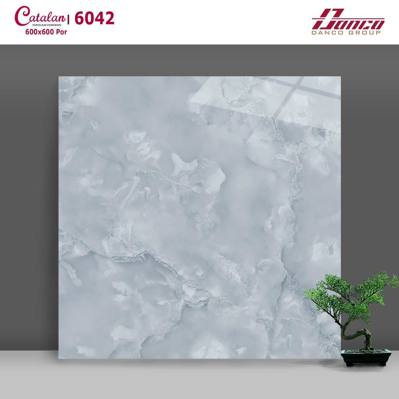 Gạch đá bóng 60x60 CTL 6042