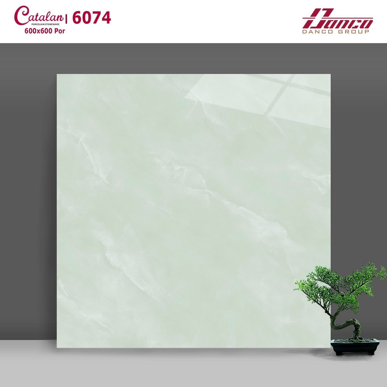 Gạch đá bóng 60x60 CTL 6074