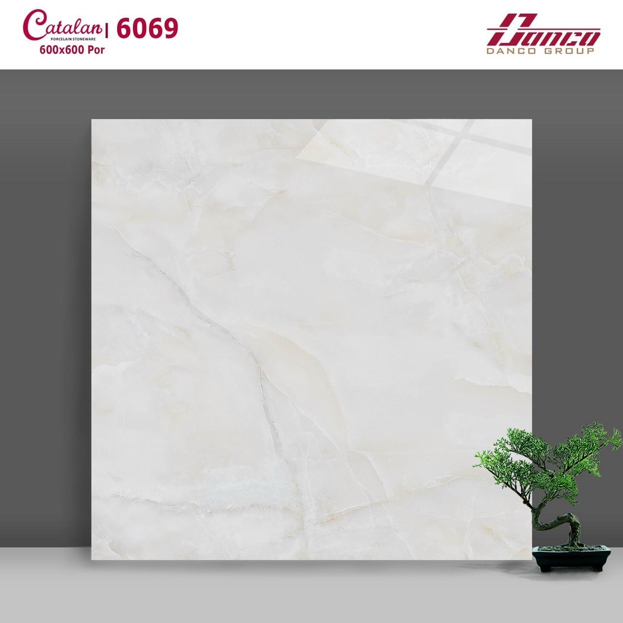 Gạch đá bóng 60x60 CTL 6069