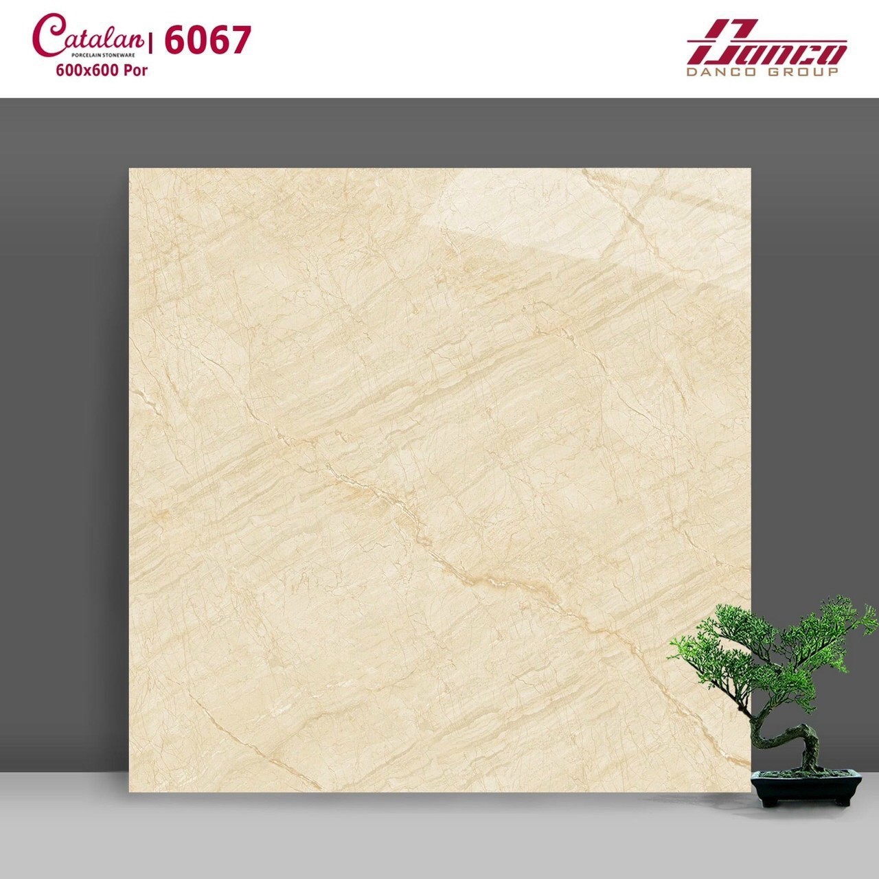 Gạch đá bóng 60x60 CTL 6067