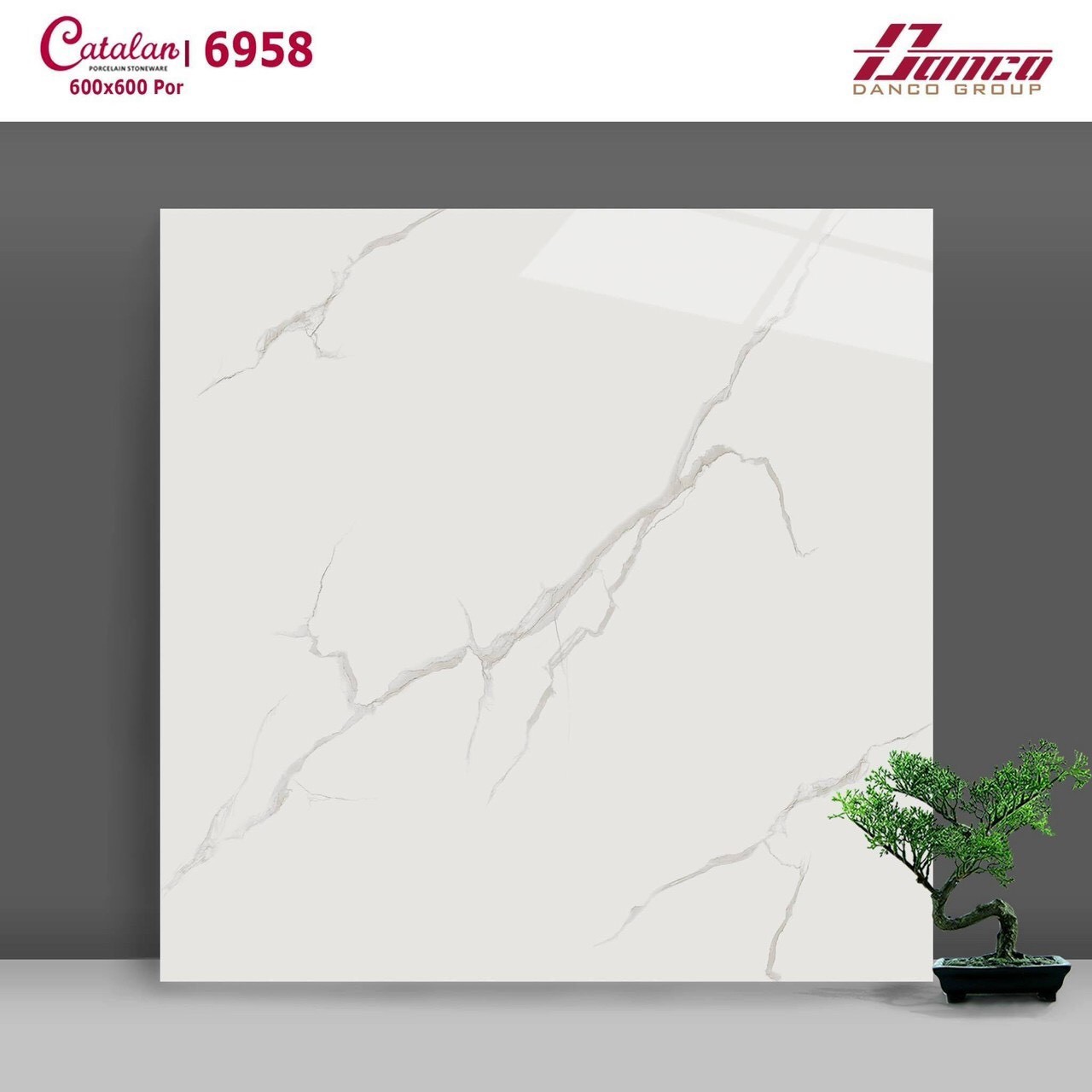 Gạch đá bóng 60x60 CTL 6958