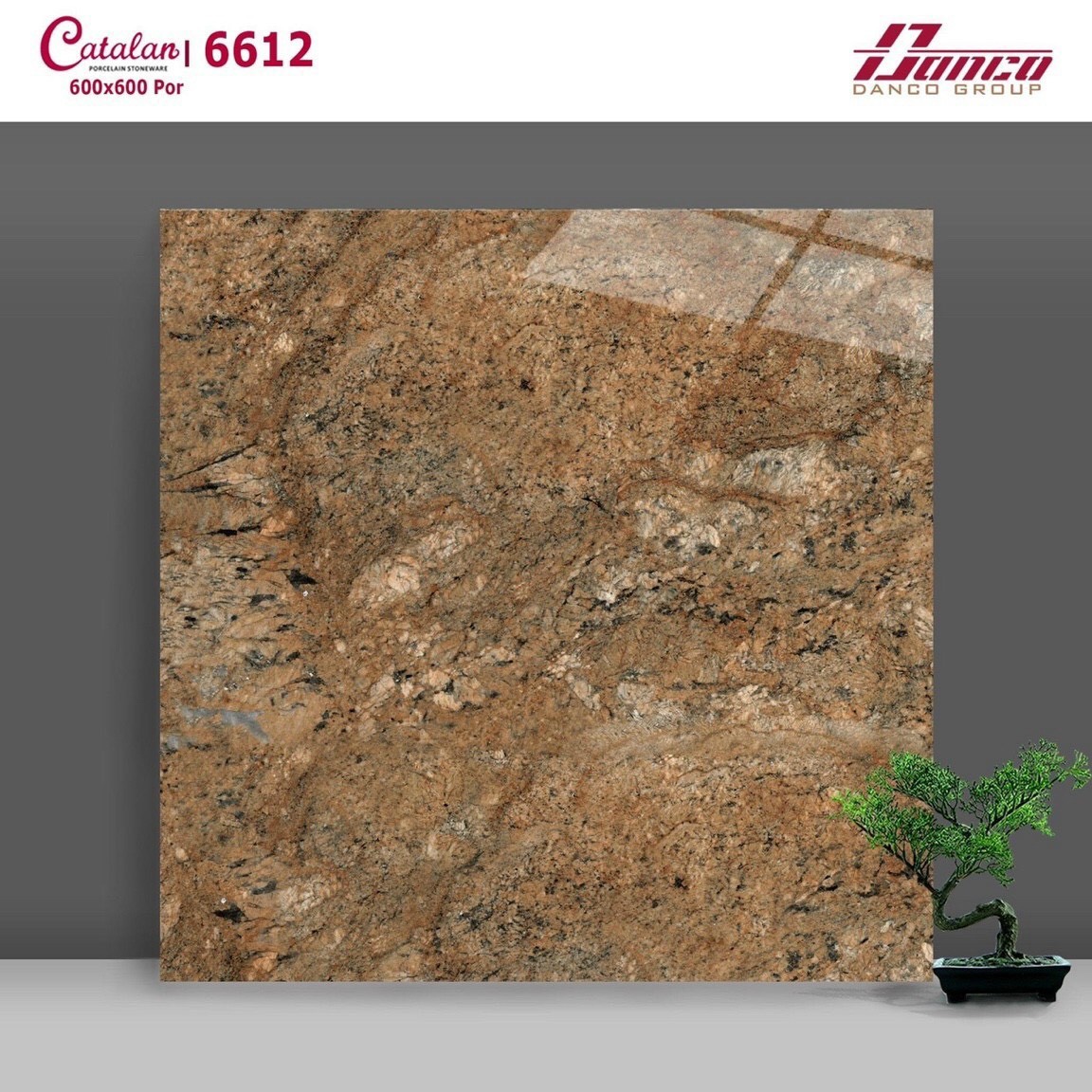 Gạch đá bóng 60x60 CTL 6612