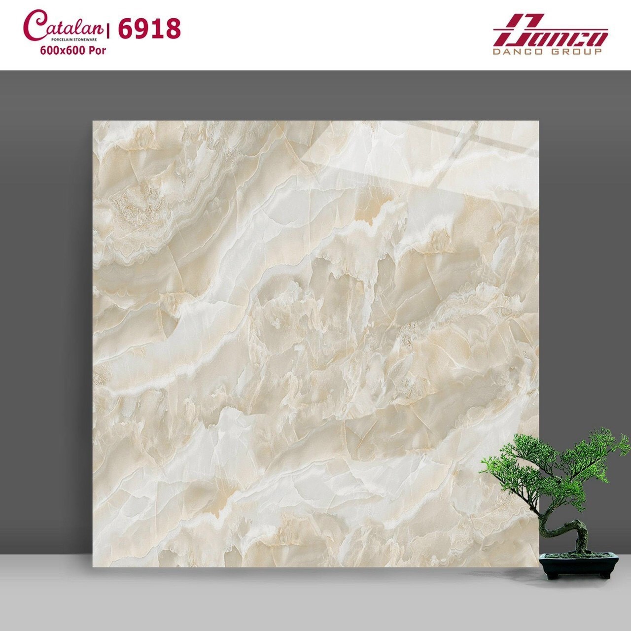 Gạch đá bóng 60x60 CTL 6918