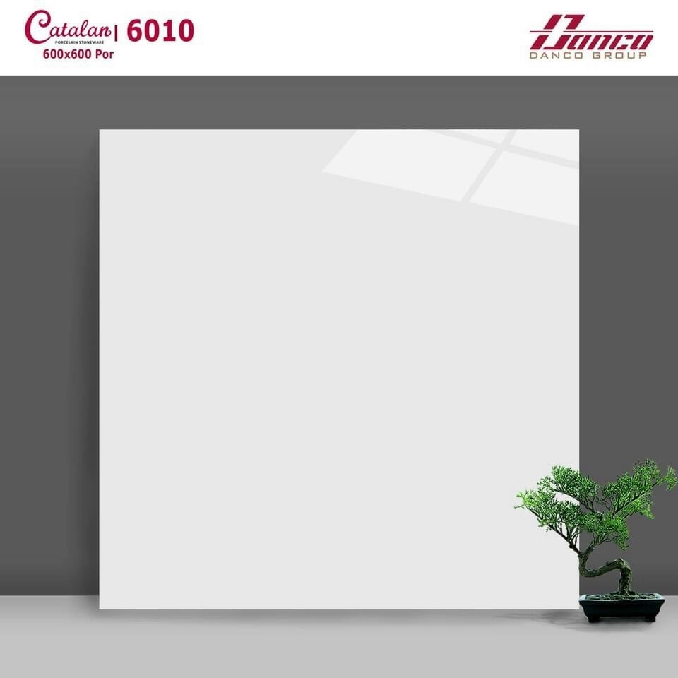 Gạch đá bóng 60x60 CTL 6010