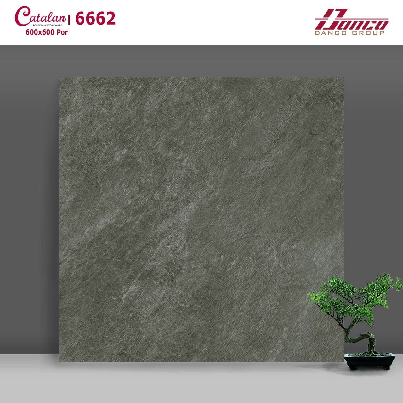 Gạch đá bóng 60x60 CTL 6662