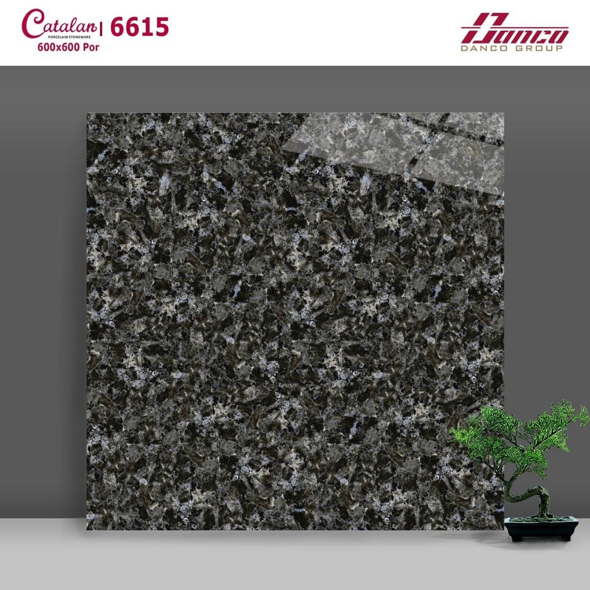 Gạch đá bóng 60x60 CTL 6615