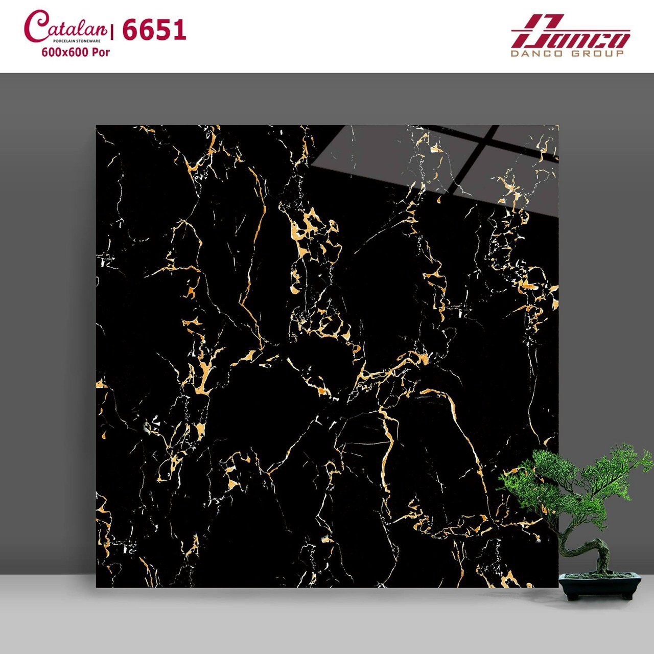 Gạch đá bóng 60x60 CTL 6651