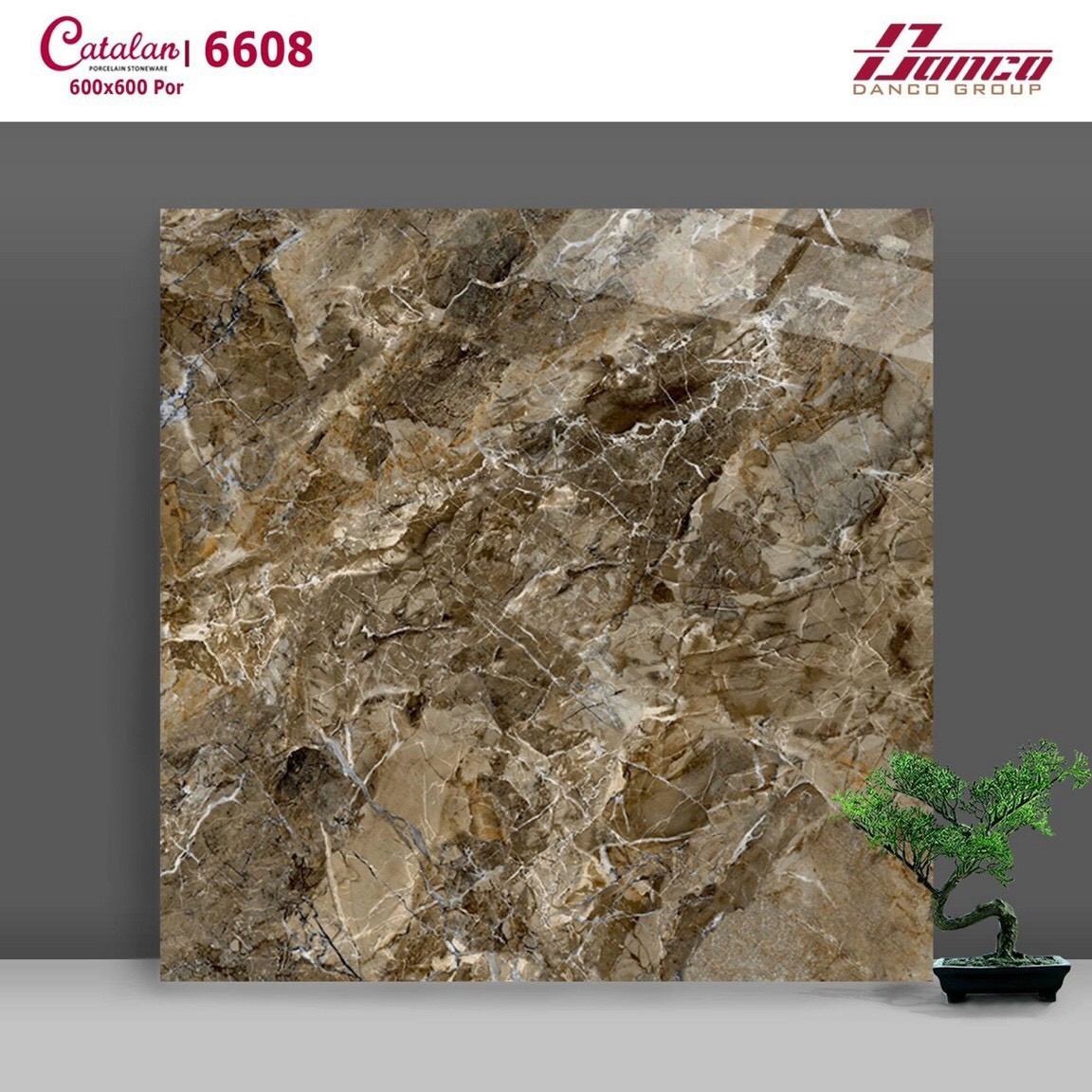 Gạch đá bóng 60x60 CTL 6608