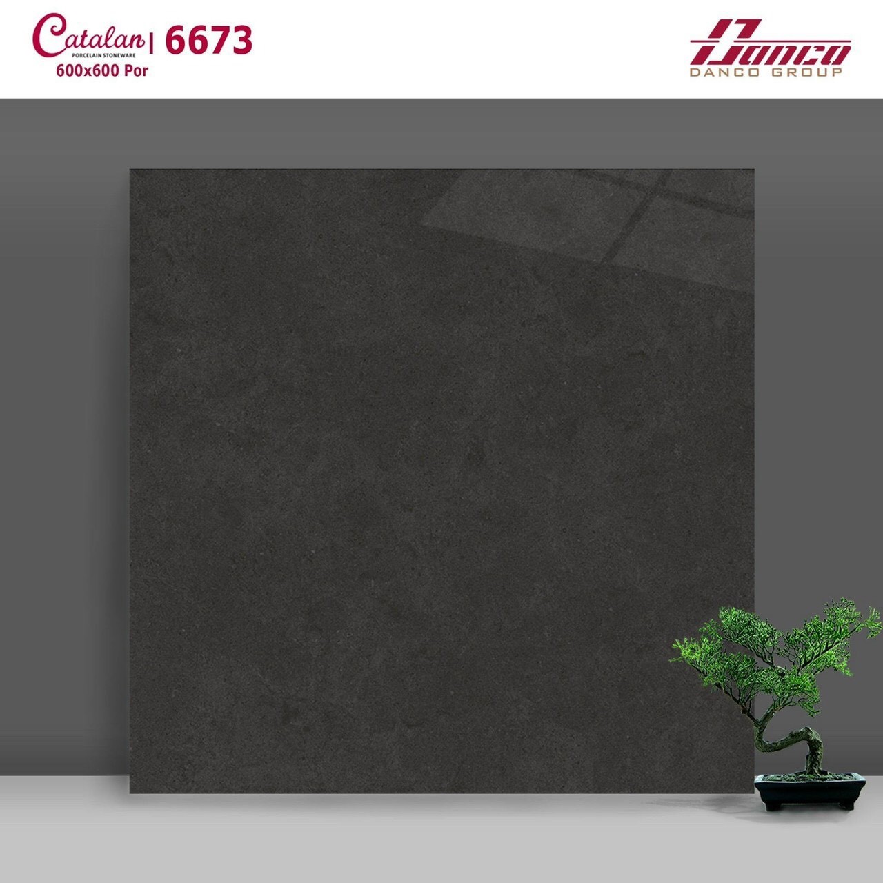 Gạch đá bóng 60x60 CTL 6673