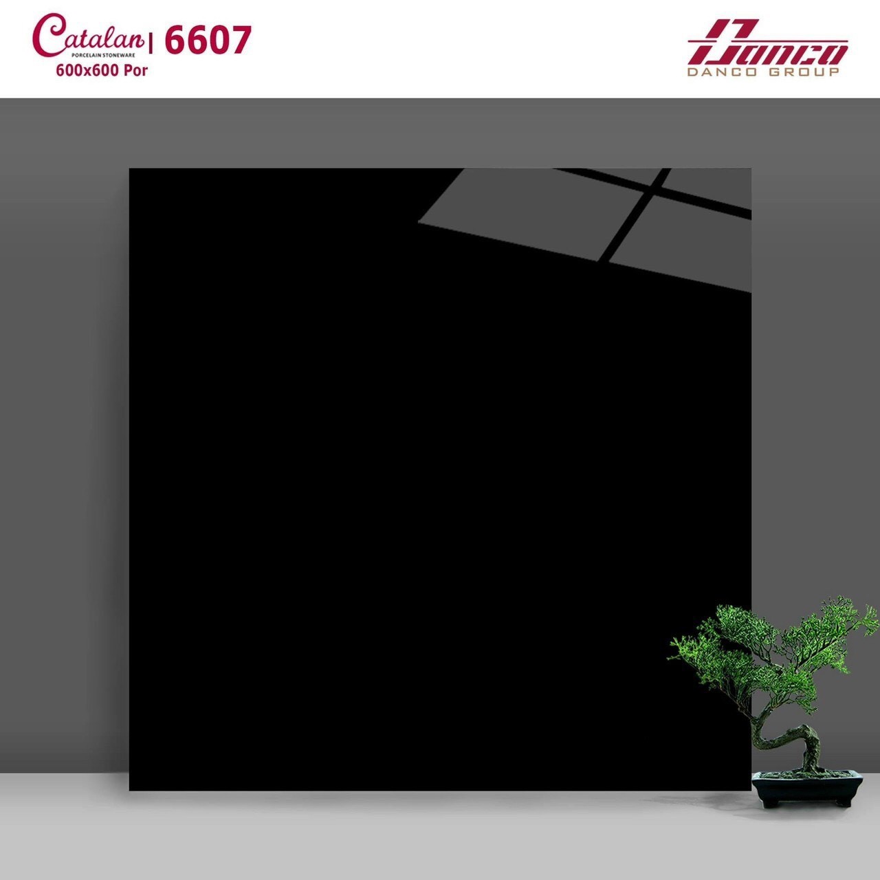 Gạch đá bóng 60x60 CTL 6607