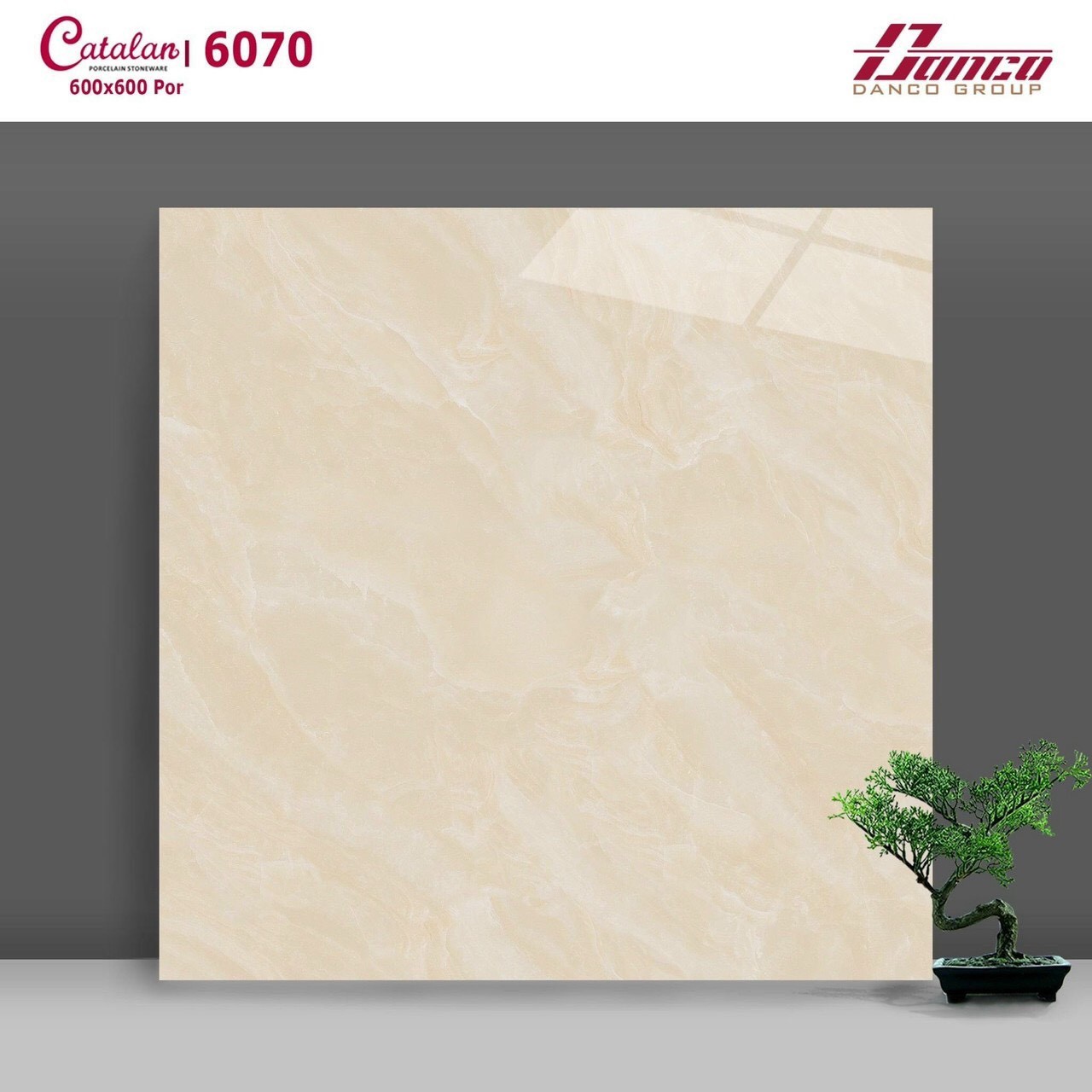 Gạch đá bóng 60x60 CTL 6070