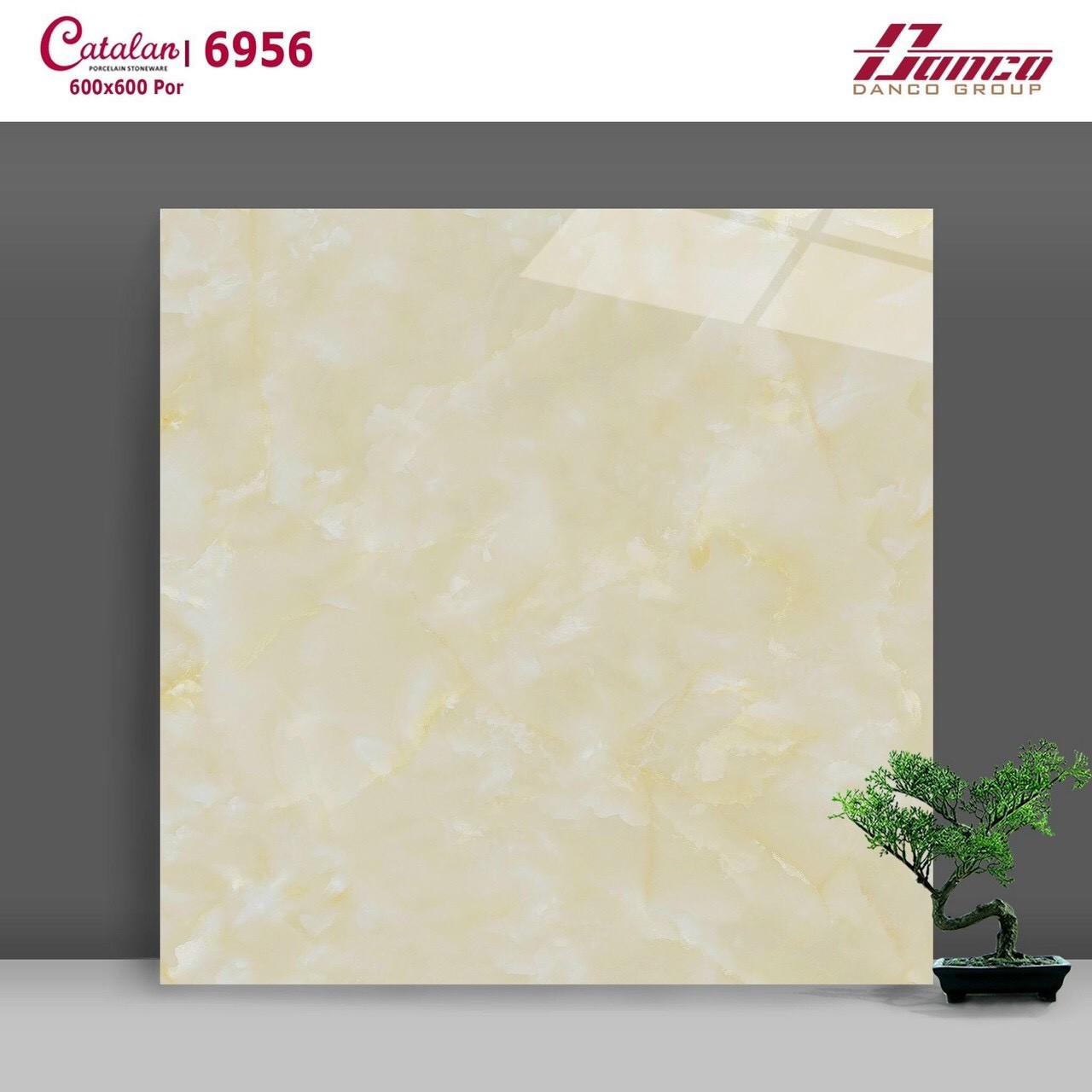 Gạch đá bóng 60x60 CTL 6956