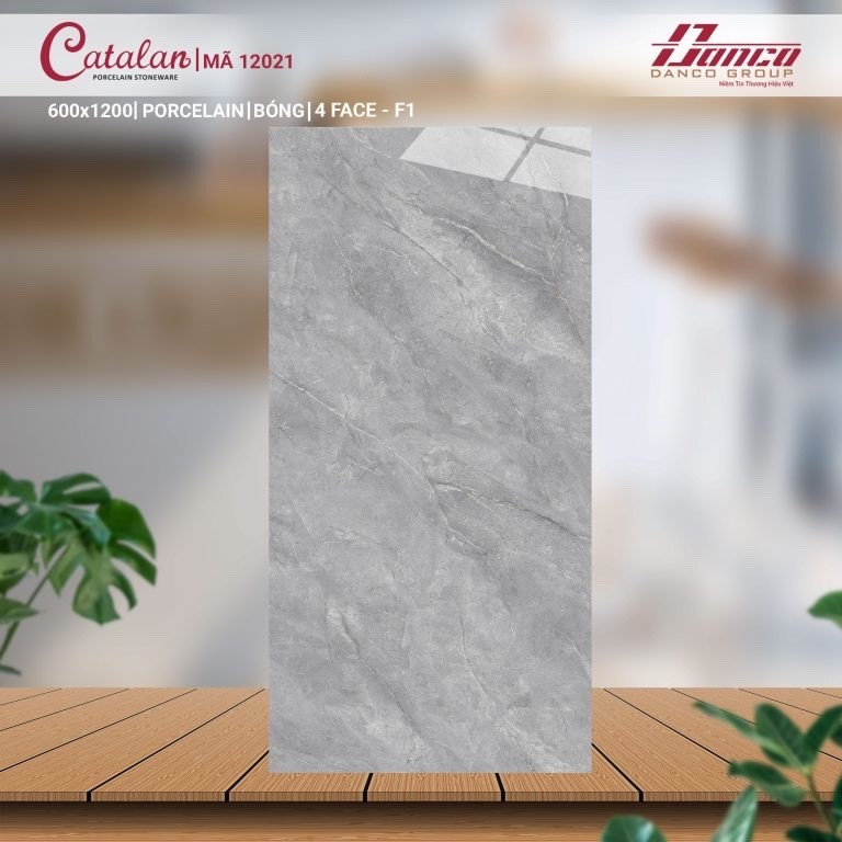 Gạch đá bóng 60x120 CTL 12021