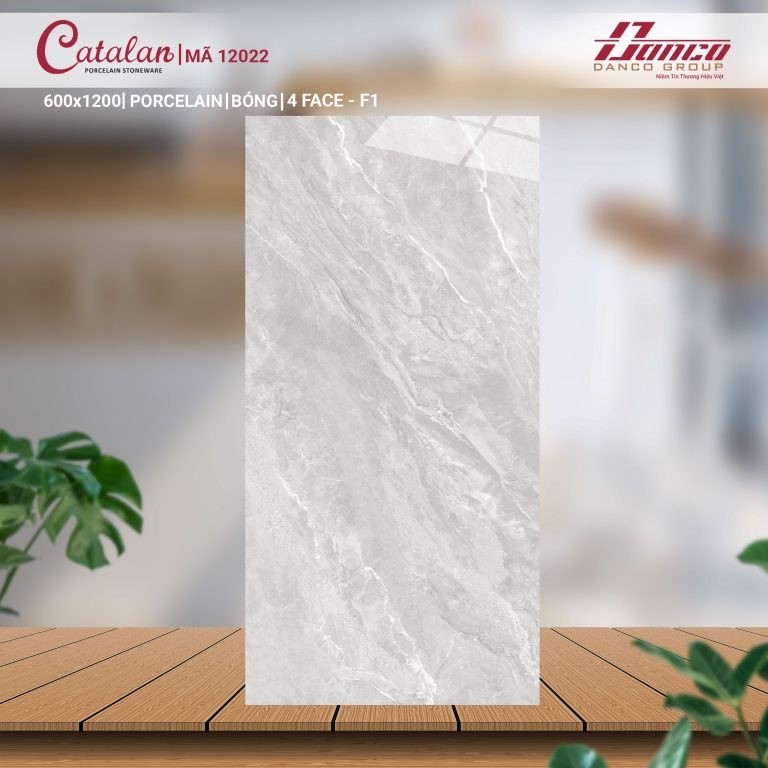 Gạch đá bóng 60x120 CTL 12022